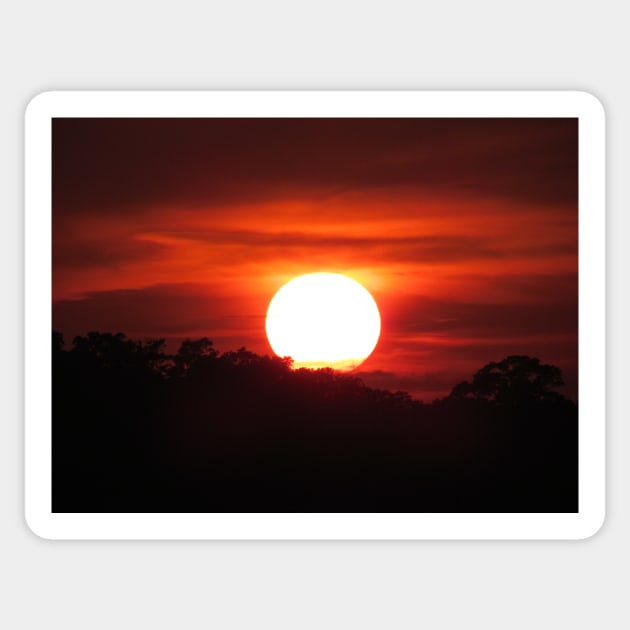 Carolina Sunset Sticker by Cynthia48